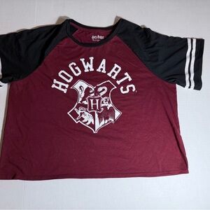 Warner Bros. Hogwarts Maroon and Black Shirt
